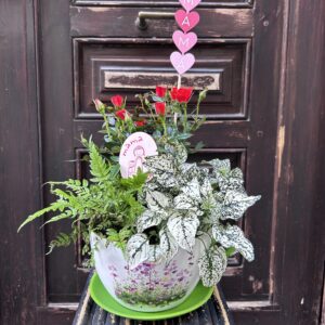 TAZA CON VARIEDAD DE PLANTAS