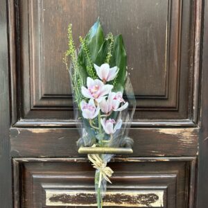 ORQUIDEA MINI INDIVIDUAL