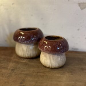 MACETERO CHAMPIÑON