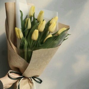 TULIPANES AMARILLOS