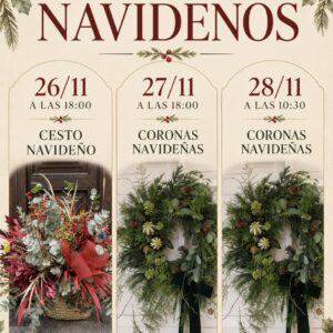 TALLERES NAVIDEÑOS 2026